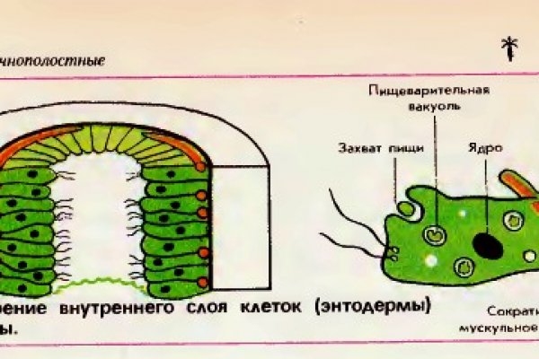 Black sprut ссылка тор