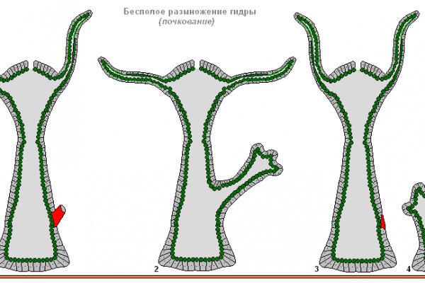 Актуальные ссылки на блэк спрут bs2webes net